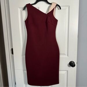 Stunning Calvin Klein sz 4 burgundy/pale pink sheath dress, stretch, party